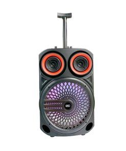 Parlante Karaoke Bluetooth Gtc Con Microfono Y Luces Rgb Spg 145